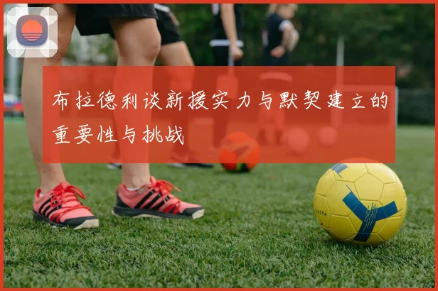 布拉德利谈新援实力与默契建立的重要性与挑战