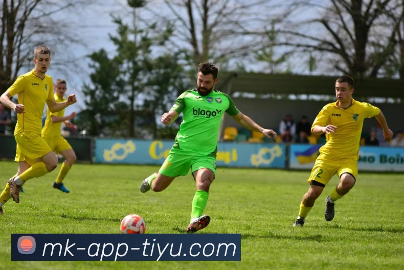 MK体育平台生态图